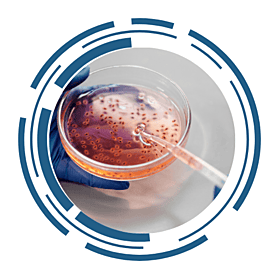 A gloved hand holding a petri dish containing a liquid culture with small specimens, while using a pipette to transfer liquid. The image is framed by a circular, futuristic design.